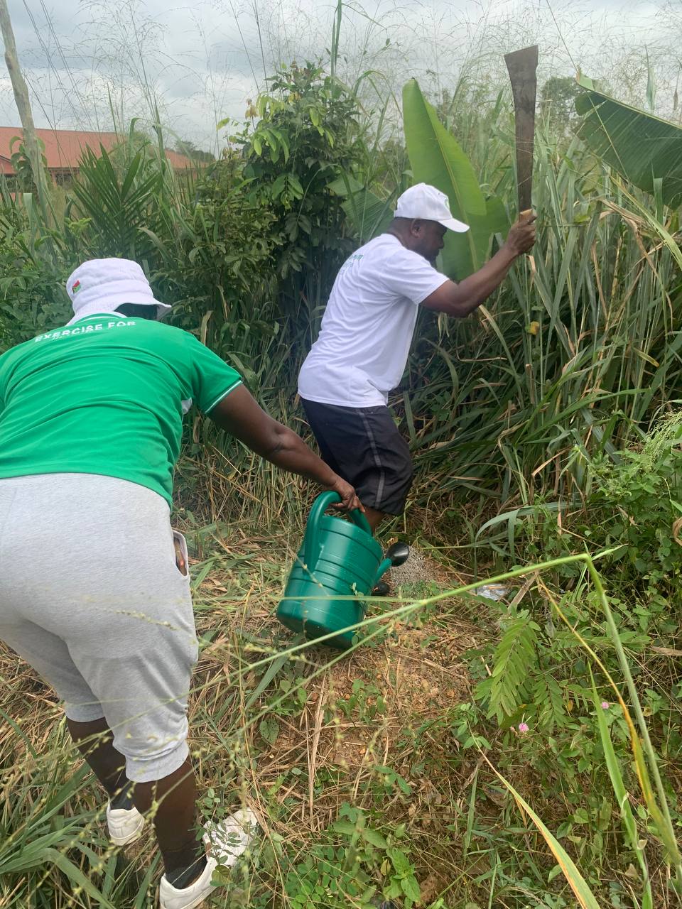 (GREEN GHANA PROJECT) MP, MCE, MCD AND STAKEHOLDERS TARGETS TO PLANT 200,000 TREES IN UDE