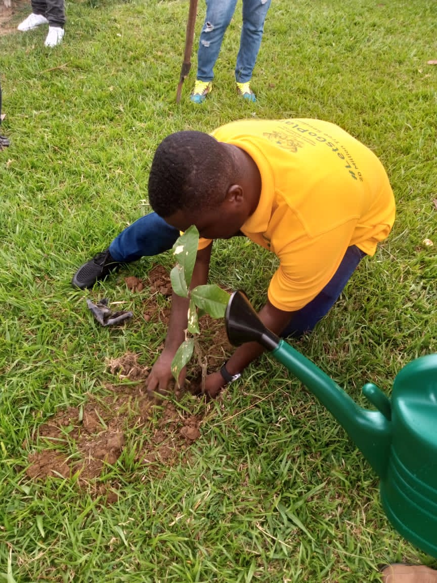 (GREEN GHANA PROJECT) MP, MCE, MCD AND STAKEHOLDERS TARGETS TO PLANT 200,000 TREES IN UDE
