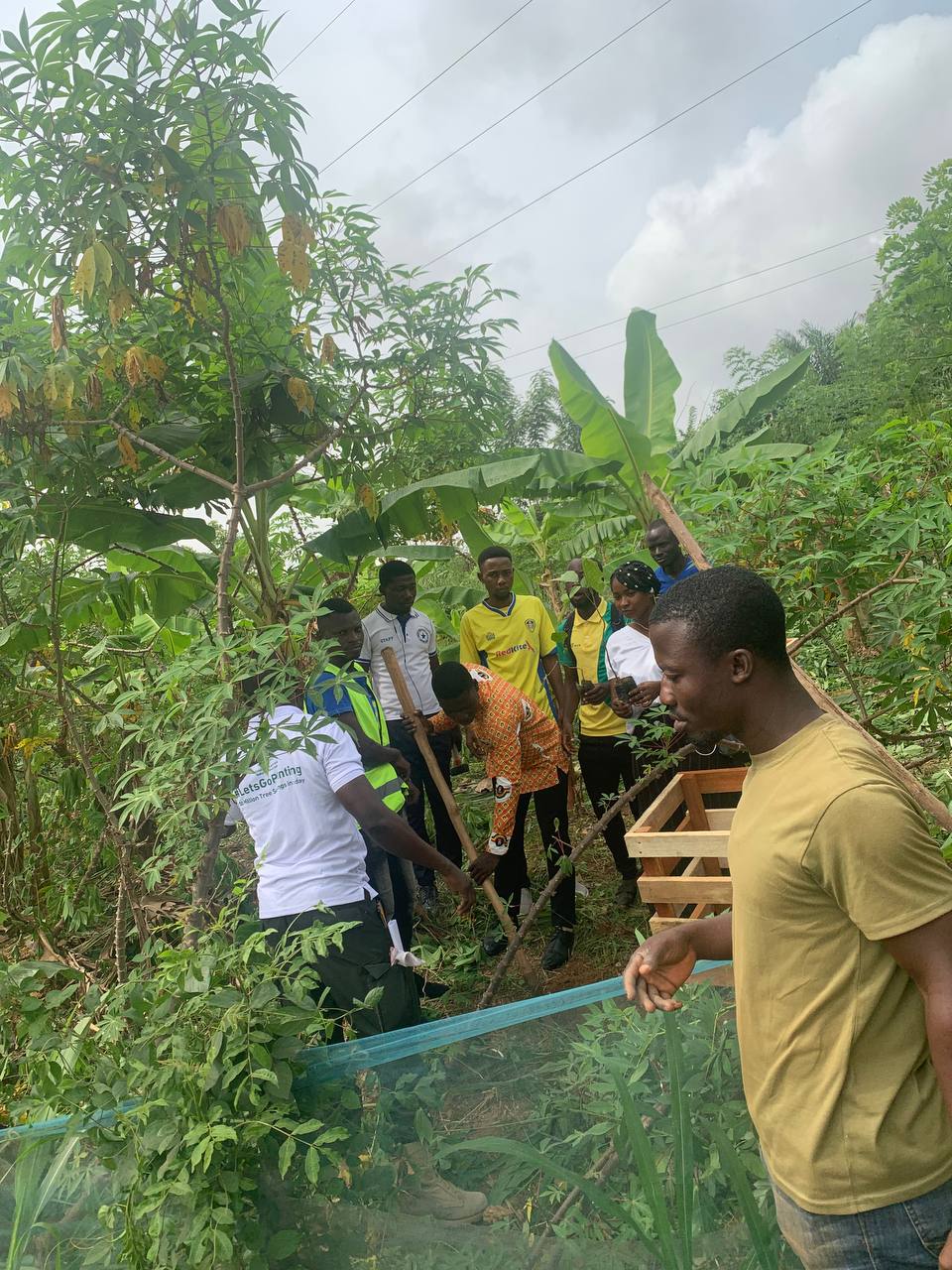 (GREEN GHANA PROJECT) MP, MCE, MCD AND STAKEHOLDERS TARGETS TO PLANT 200,000 TREES IN UDE