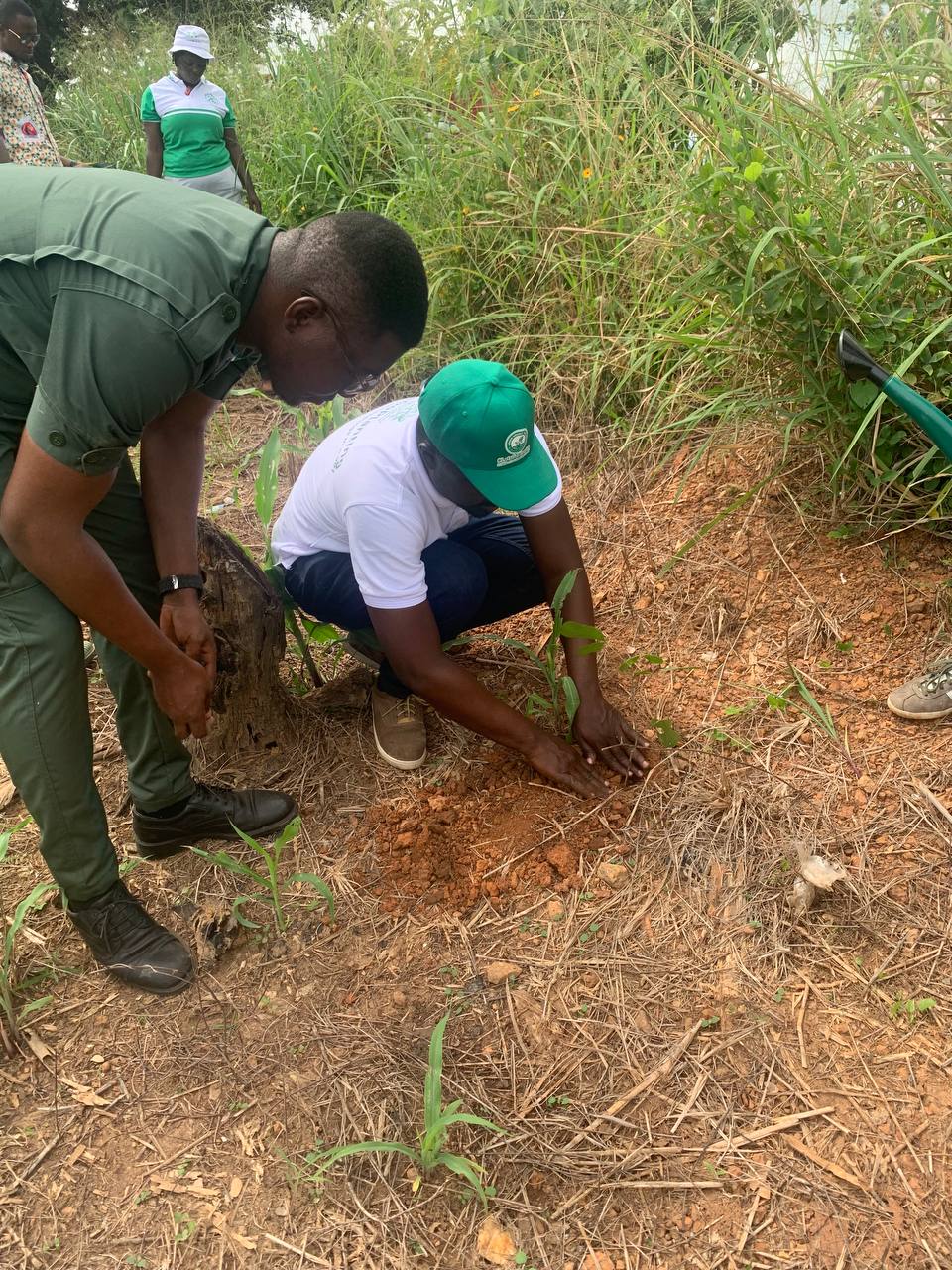 (GREEN GHANA PROJECT) MP, MCE, MCD AND STAKEHOLDERS TARGETS TO PLANT 200,000 TREES IN UDE